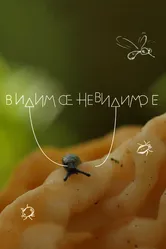 Видимое невидимое 2016 постер
