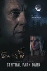 Central Park Dark постер
