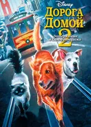 Дорога домой 2: Затерянные в Сан-Франциско 1996 постер