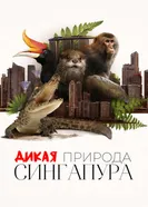 Дикая природа Сингапура постер