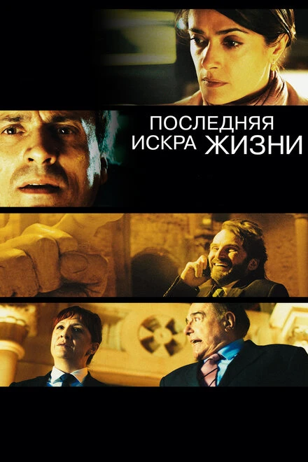 Постер Последняя искра жизни 2011