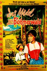 Девушка из Шумавы 1965 постер