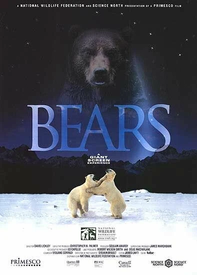 Постер Медведи 2004