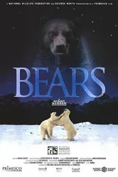 Медведи 2004 постер