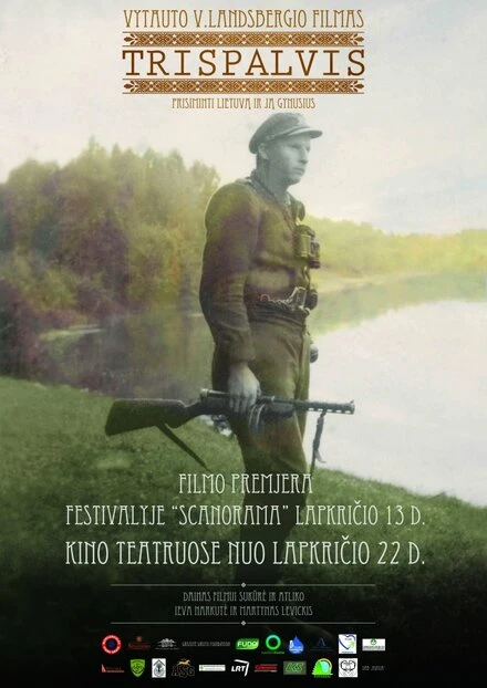 Постер Триколор 2013