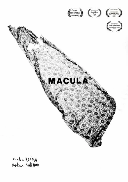 Постер Macula