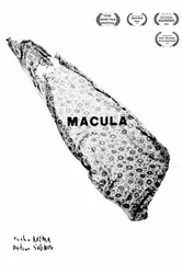 Macula постер