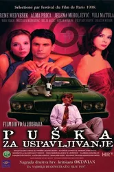 Puska za uspavljivanje постер