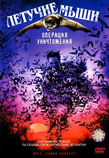Постер Летучие мыши: Операция уничтожения 2007