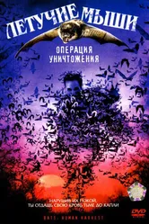 Летучие мыши: Операция уничтожения 2007 постер