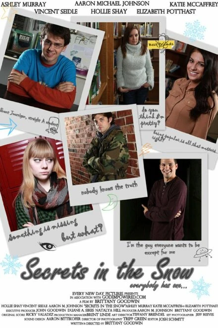 Постер Secrets in the Snow 2012