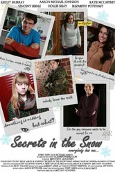Secrets in the Snow 2012 постер