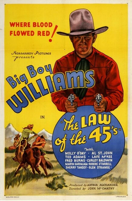Постер The Law of the 45's