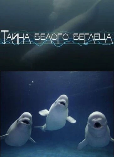 Постер Тайна белого беглеца 2012