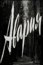 Авария 1965 постер