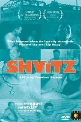 The Shvitz постер