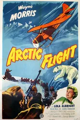 Arctic Flight постер
