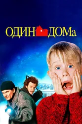 Один дома 1990 постер