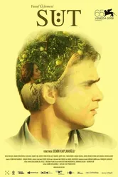 Молоко 2008, Турция постер