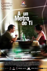 В метре от тебя 2009 постер