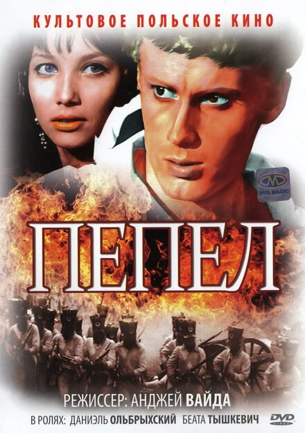 Постер Пепел 1965