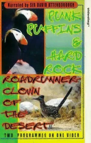 Постер Roadrunner 2001