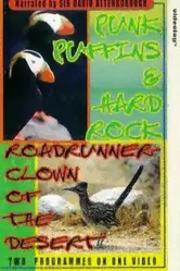 Roadrunner 2001 постер