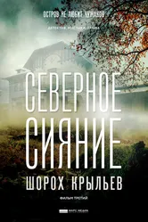 Северное сияние. Шорох крыльев. Фильм третий 2018 постер