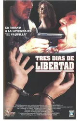 Три дня свободы 1996 постер