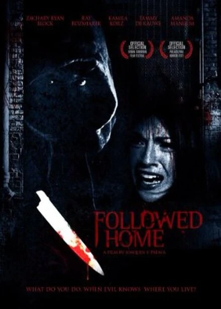 Постер Followed Home