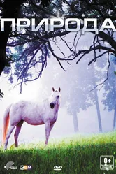 Природа 2012 постер