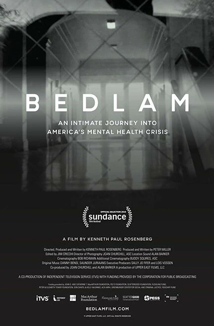 Постер Bedlam 2019