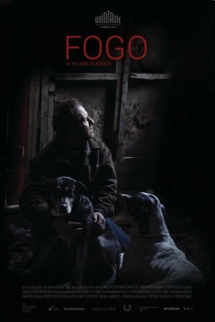 Постер Фого 2012