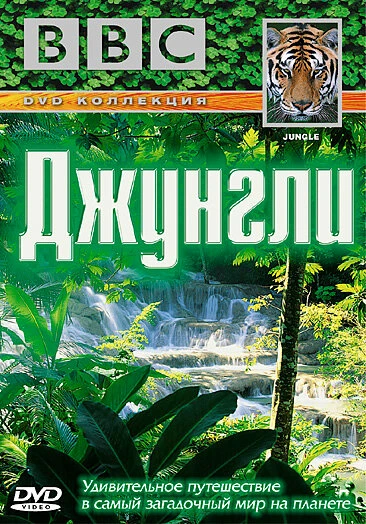 Постер BBC: Джунгли 2003