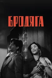 Бродяга 1951 постер