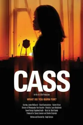 Cass 2013 постер