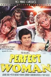 Идеальная женщина 1981 постер