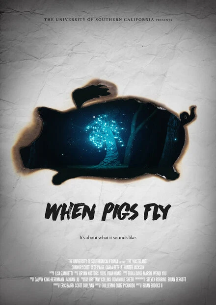 Постер When Pigs Fly 2017