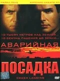 Постер Аварийная посадка 2005