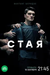 Стая 2022, Россия, детектив постер