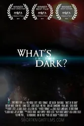 What's in the Dark? 2014 постер