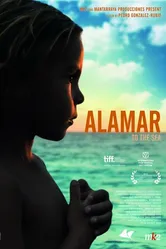 К морю 2009 постер