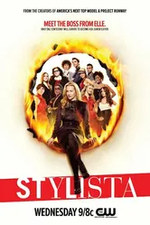 Стилистка 2008 постер