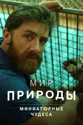 Мир природы. Миниатюрные чудеса 2017 постер