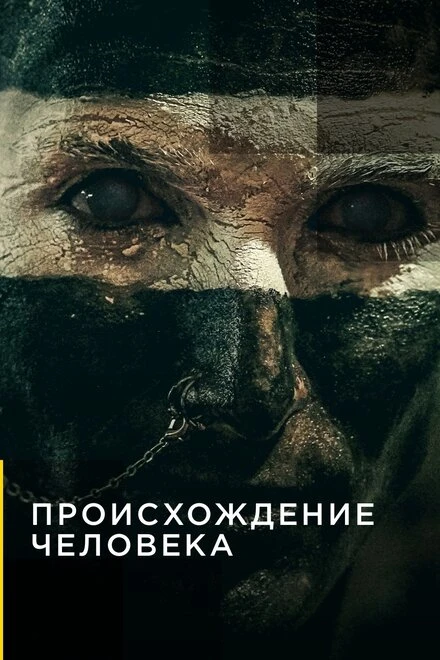 Постер Происхождение человека 2019, США