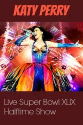 Супер Боул XLIX 2015 постер