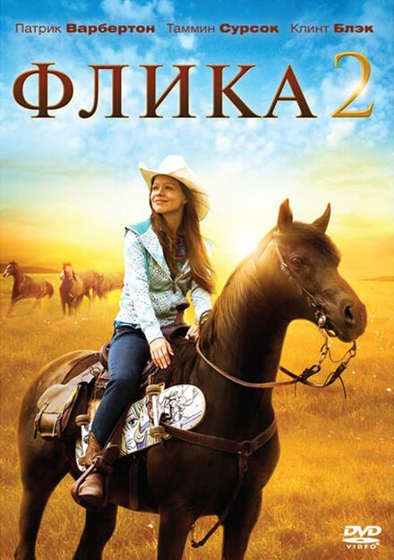 Постер Флика 2 2010