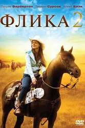 Флика 2 2010 постер