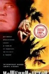 Мошенничество 1993 постер