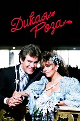 Дикая роза 1987 постер